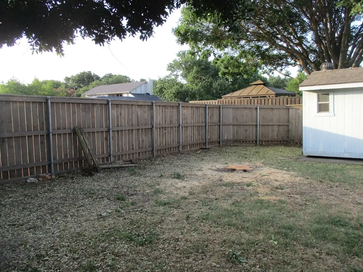 Cleared yard after professional tree removal in Rock City